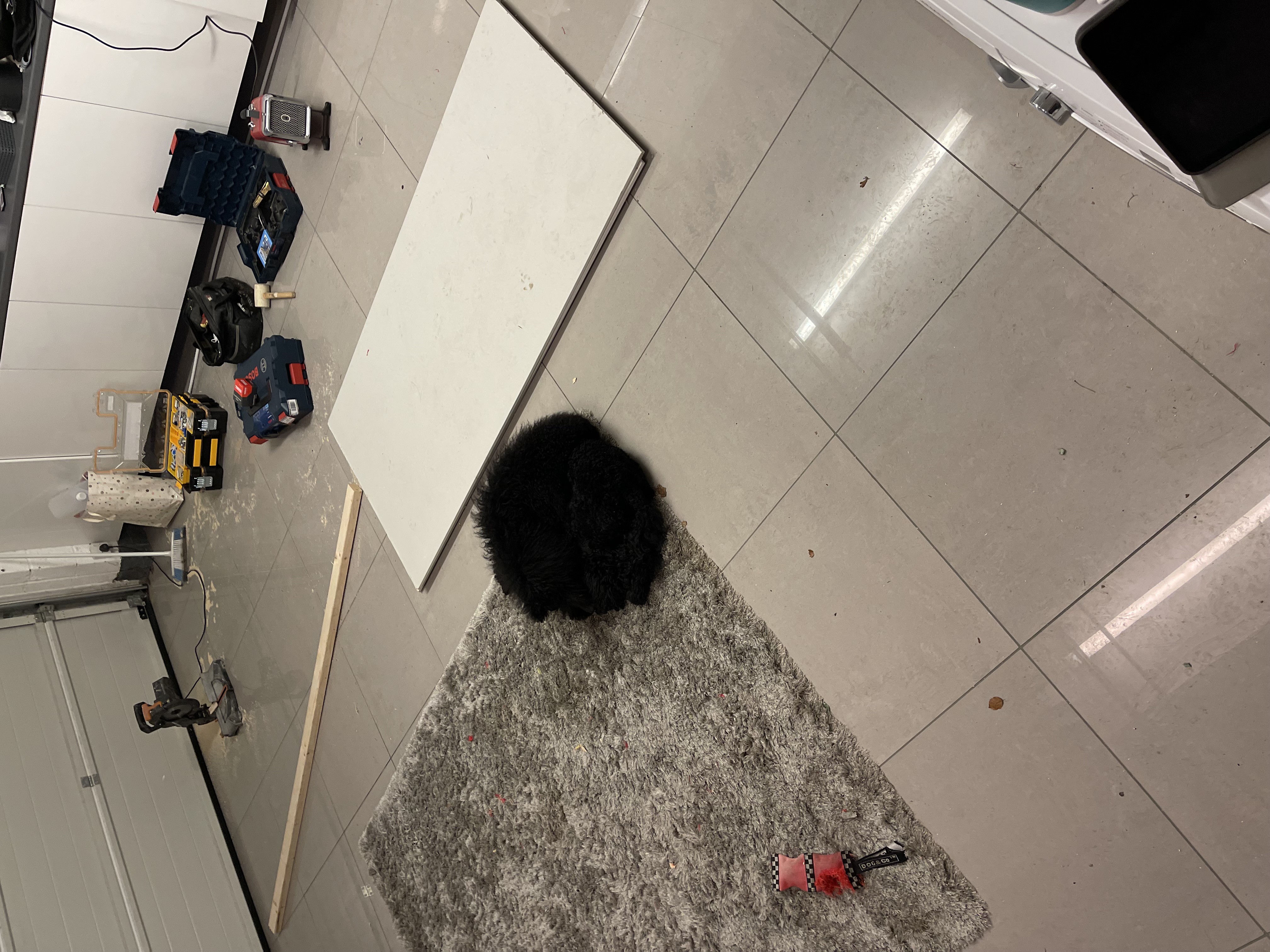 Garage Conversion — image 5