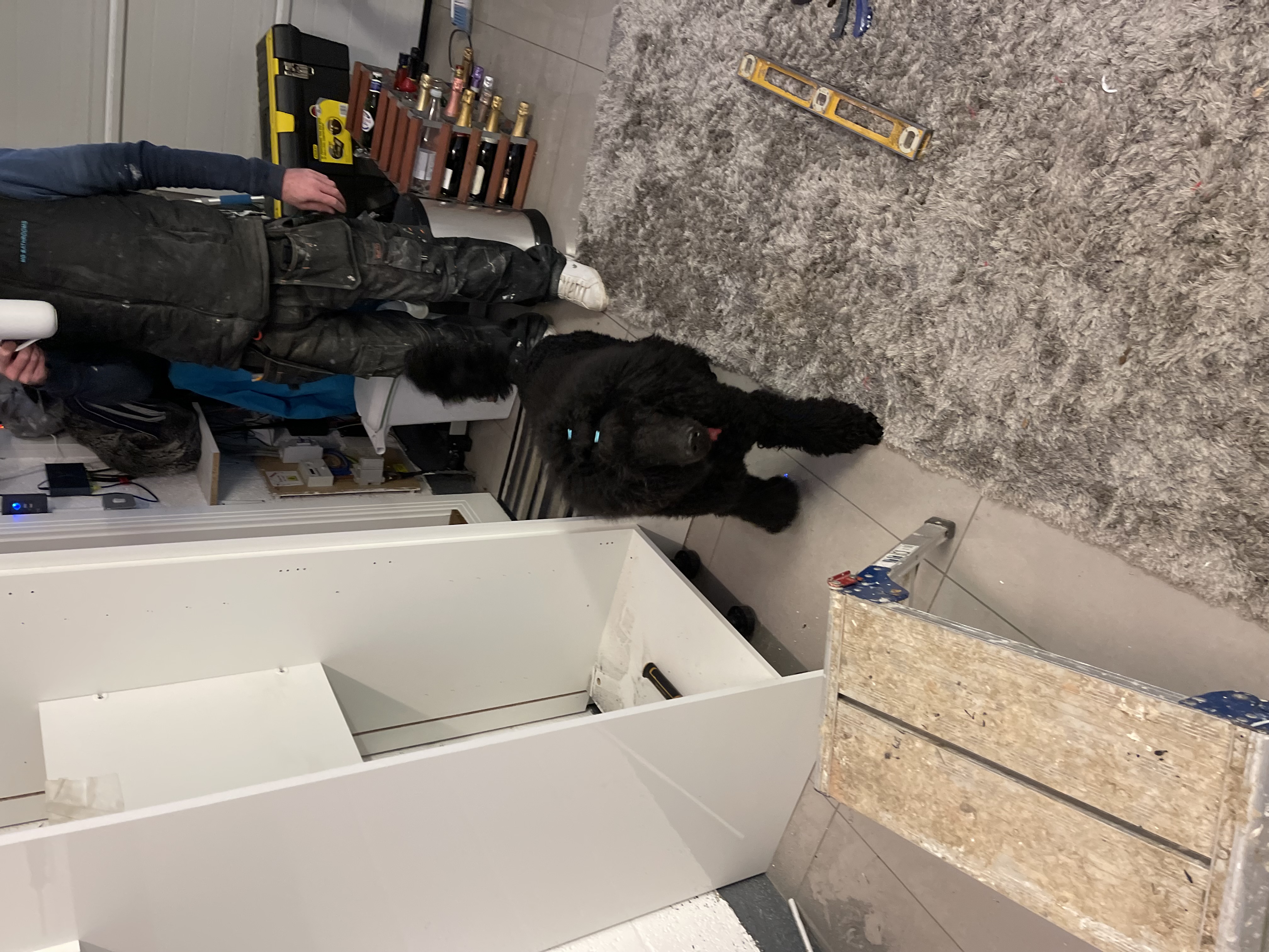 Garage Conversion — image 6