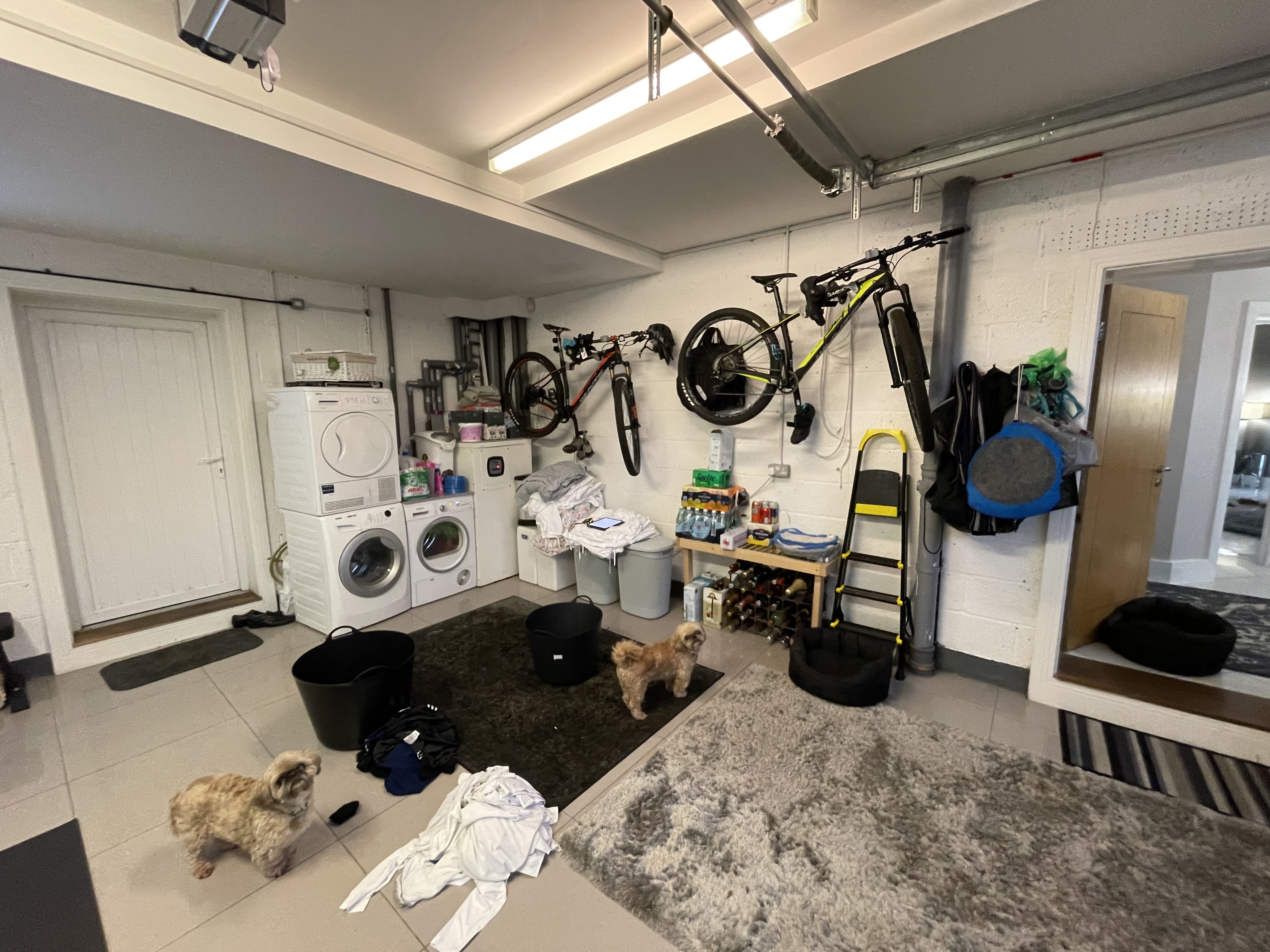 Garage Conversion — image 4